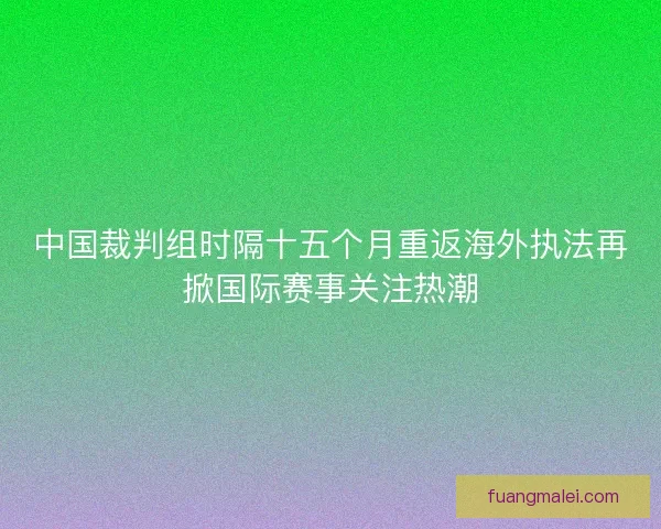 中国裁判组时隔十五个月重返海外执法再掀国际赛事关注热潮